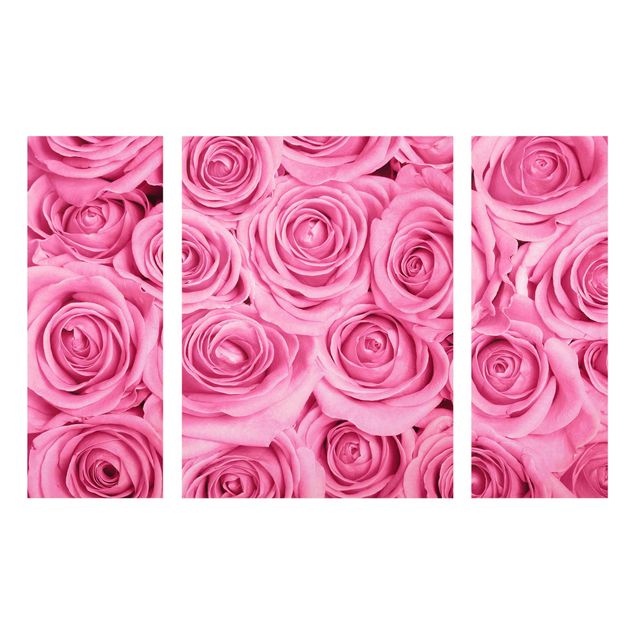 Obrazy na szkle wieloczęściowy Różowe róże