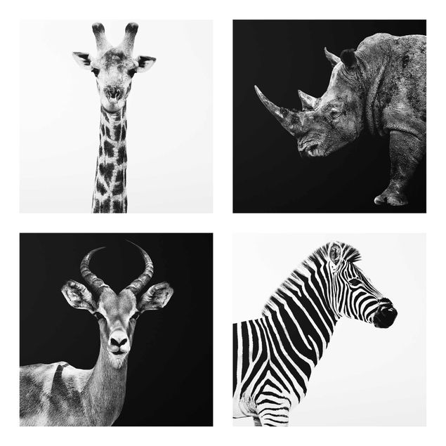 Obrazy na szkle zwierzęta Kwartet Safari