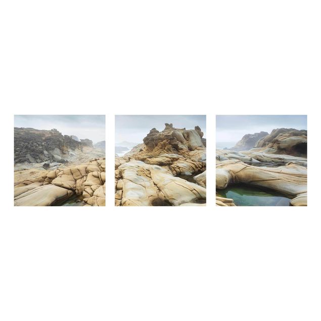 Obrazy na szkle wieloczęściowe Salt Point State Park