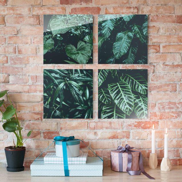 Obrazy na szkle kwadrat Rośliny tropikalne
