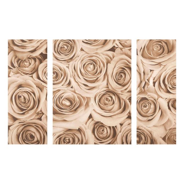 Obrazy na szkle wieloczęściowy Róże w stylu vintage