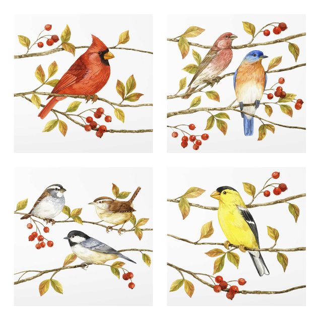 Obrazy na szkle zwierzęta Zestaw II ptaki i jagody