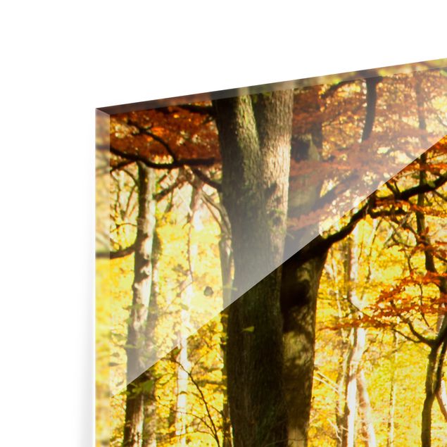 Obrazy do salonu Wodospad jesienny las