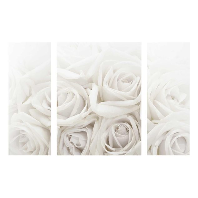 Obrazy na szkle wydmy Białe róże