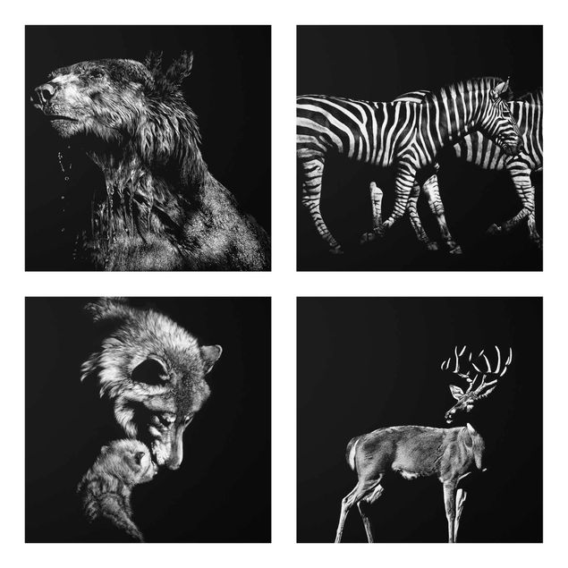 Obrazy jeleń Dzikie zwierzęta przed czarnym zestawem I