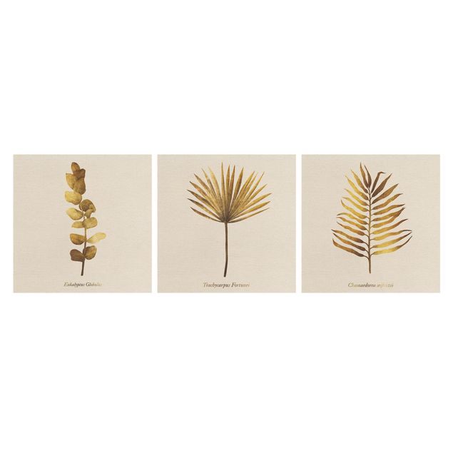 Obrazy na ścianę Złoto - Zestaw tropikalnych liści I