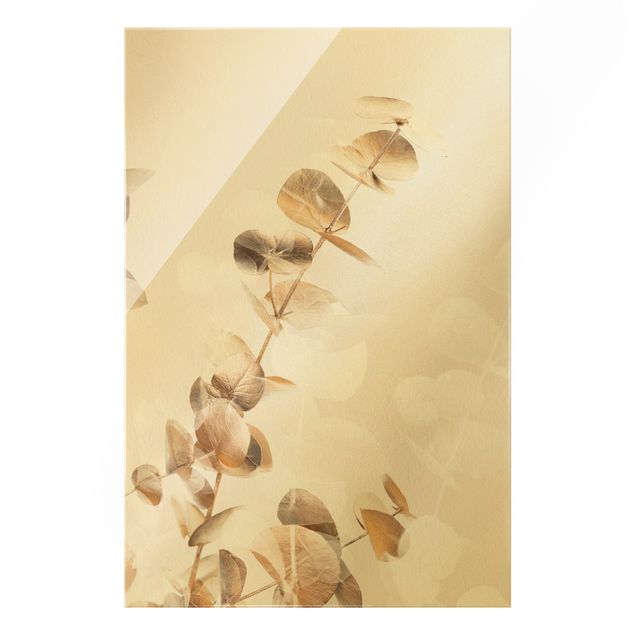 Obrazy kwiatowe Złote gałązki eukaliptusa z białą I