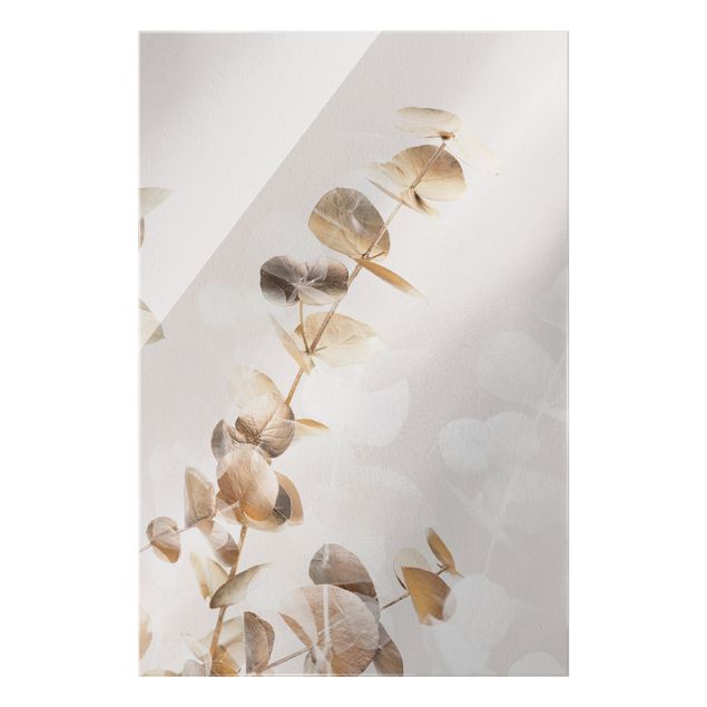 Obrazy kwiatowe Złote gałązki eukaliptusa z białą I