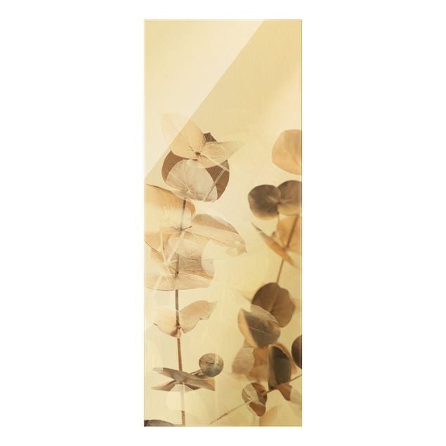 Obraz na szkle - Złote gałązki eukaliptusa z białym II