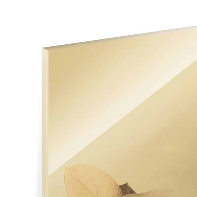 Obraz na szkle - Złote gałązki eukaliptusa z białym II