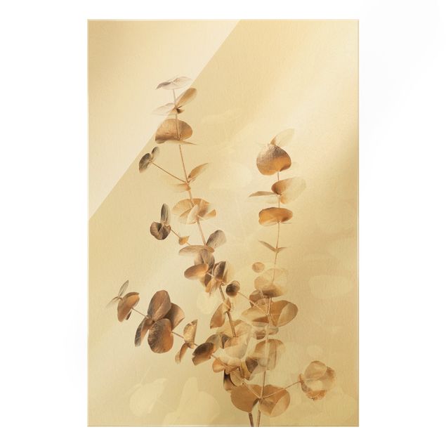 Obrazy z motywem kwiatowym Złote gałązki eukaliptusa z białymi liśćmi