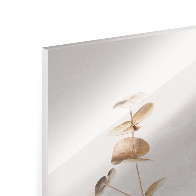 Obrazy na ścianę Złote gałązki eukaliptusa z białymi liśćmi