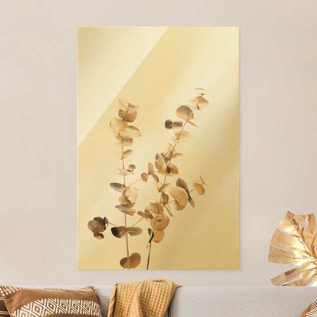 Obrazy na szkle portret Gałązki eukaliptusa złocistego