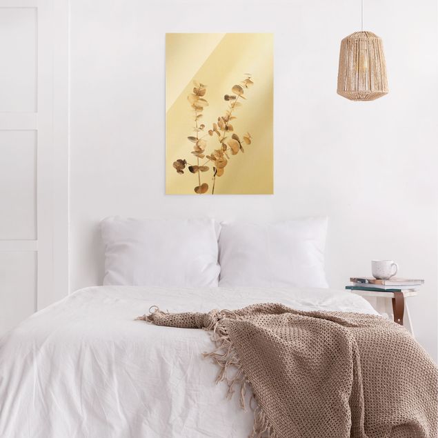 Obrazy do salonu Gałązki eukaliptusa złocistego