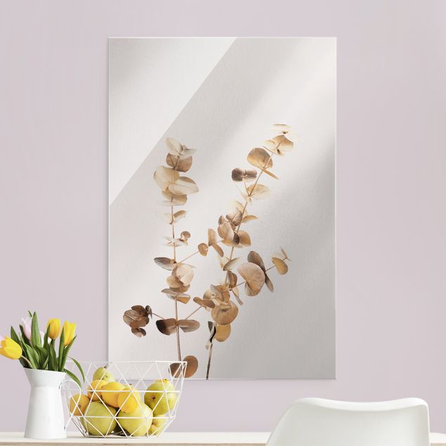 Obrazy na szkle portret Gałązki eukaliptusa złocistego