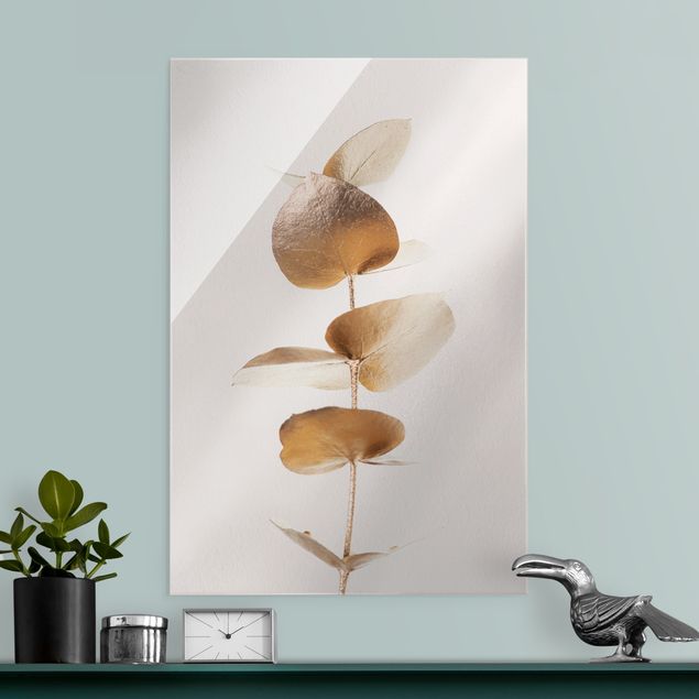 Obrazy na szkle portret Gałązka eukaliptusa złocistego