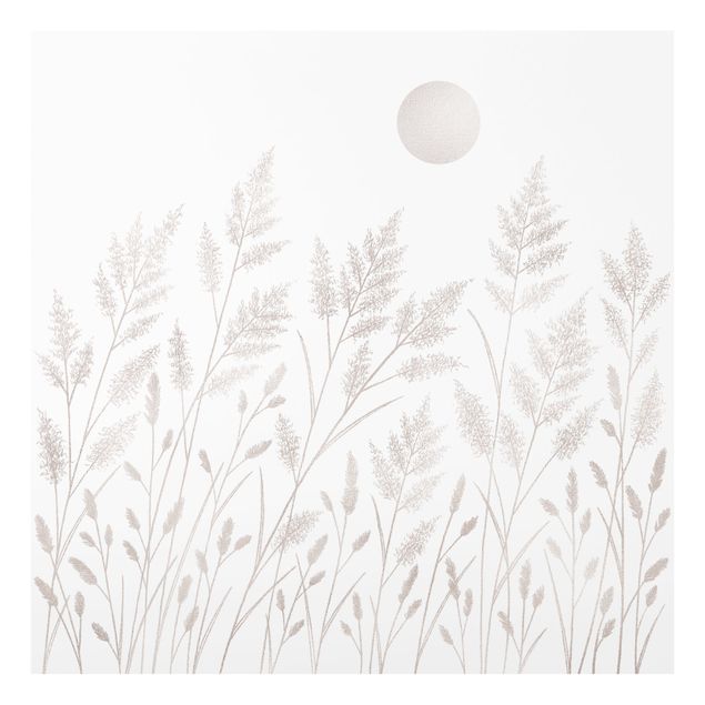 Obrazy motywy kwiatowe Trawa i księżyc w srebrze