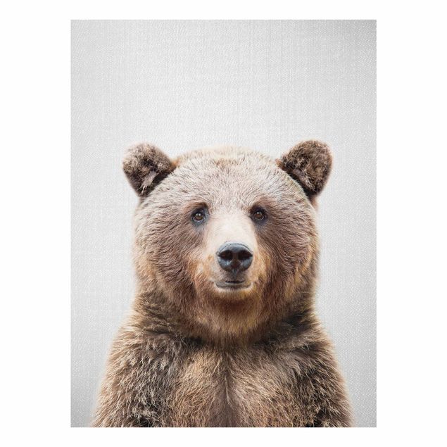 Obrazy do salonu nowoczesne Grizzly Bear Gustel