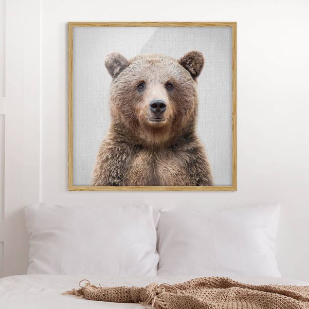 Obrazy miś Grizzly Bear Gustel