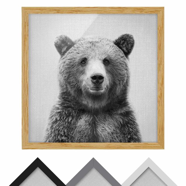 Obrazy nowoczesny Grizzly Bear Gustel Black And White