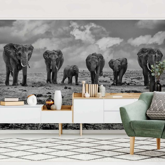 Fototapety słoń Rozszerzona rodzina