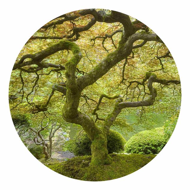 Rainer Mirau obrazy Zielony ogród japoński