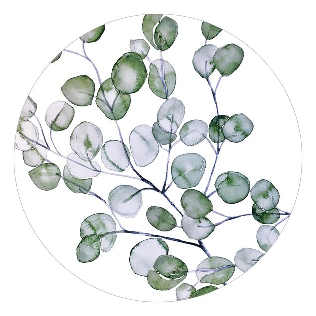 Okrągła tapeta samoprzylepna - Zielona akwarela Gałązka eukaliptusa
