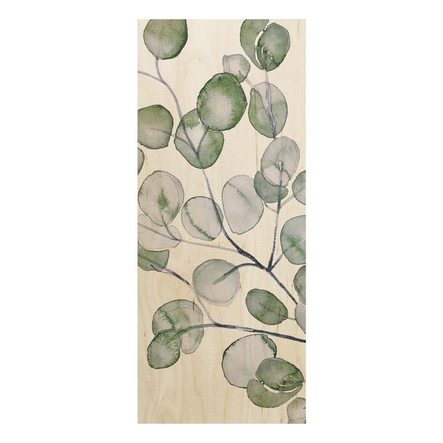 Obrazy na ścianę Zielona akwarela Gałązka eukaliptusa