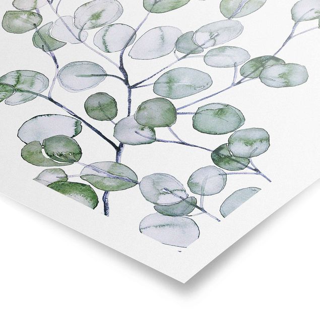 Obrazy motywy kwiatowe Zielona akwarela Gałązka eukaliptusa