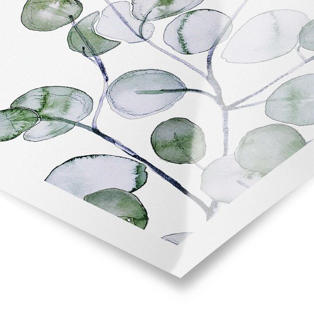 Obrazy Zielona akwarela Gałązka eukaliptusa