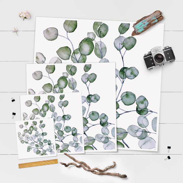 Plakat - Zielona akwarela Gałązka eukaliptusa