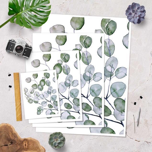 Plakat - Zielona akwarela Gałązka eukaliptusa
