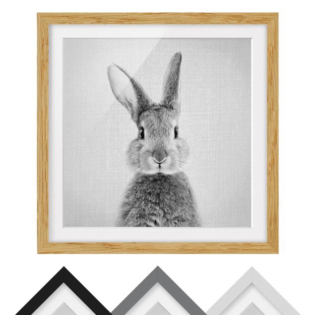 Zwierzęta obrazy Hare Hilbert Black And White
