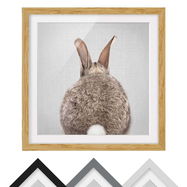 Obrazy zwierzęta Hare From Behind