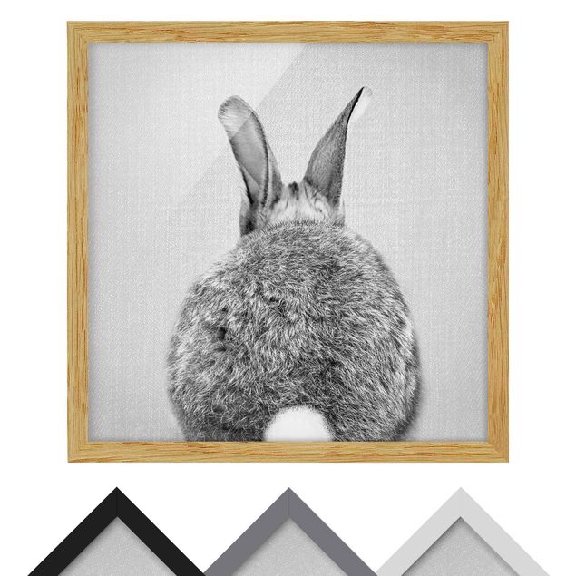 Zwierzęta obrazy Hare From Behind Black And White