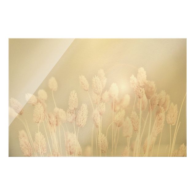 Obrazy motywy kwiatowe Lekka trawa w świetle słońca