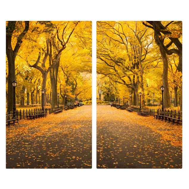 Pokrywa kuchenki - Jesień w Central Parku