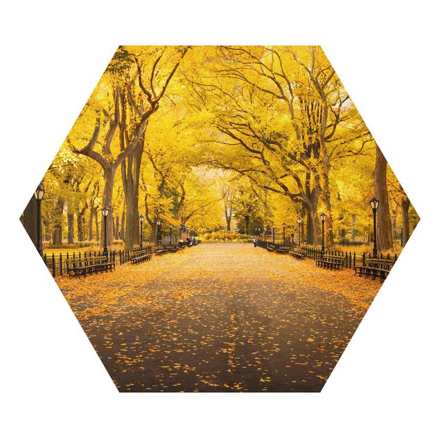 Obraz pomarańczowy Jesień w Central Parku