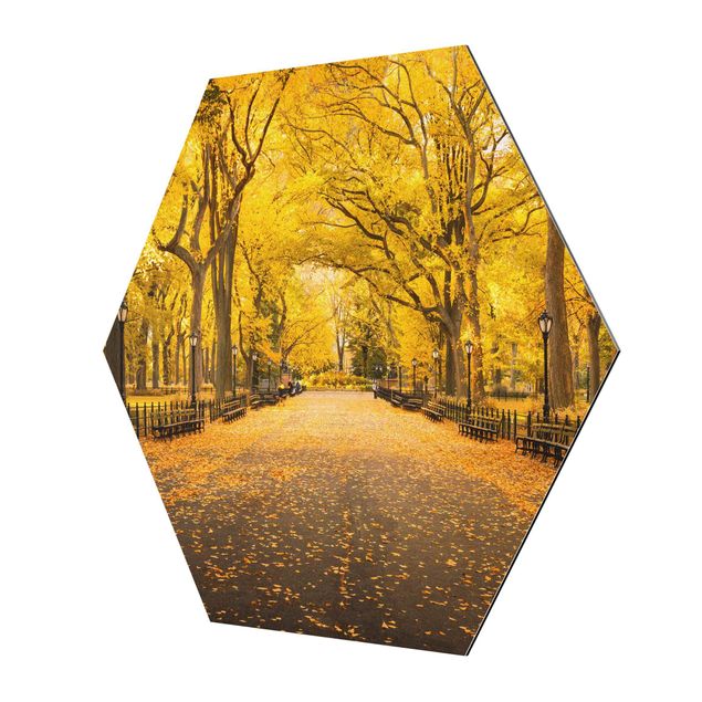 Obrazy architektura Jesień w Central Parku
