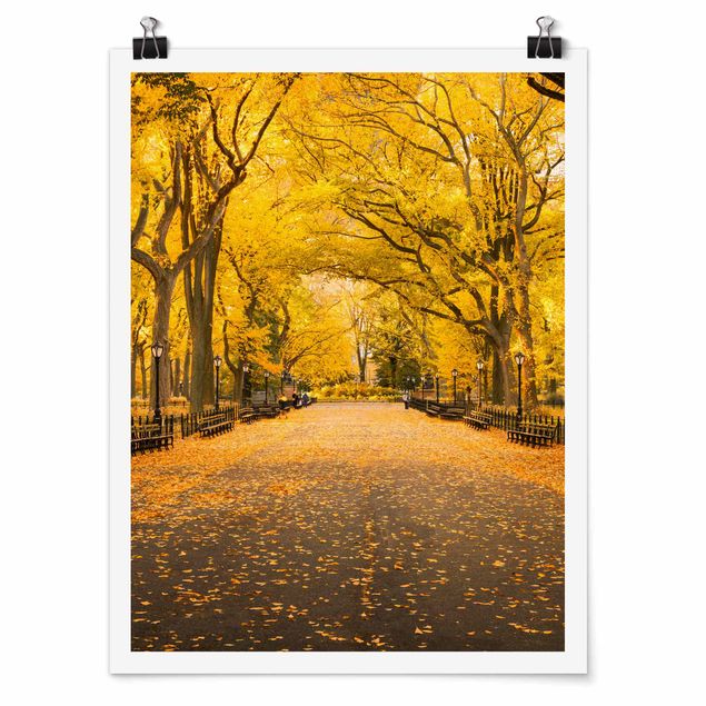Nowy Jork obrazy Jesień w Central Parku