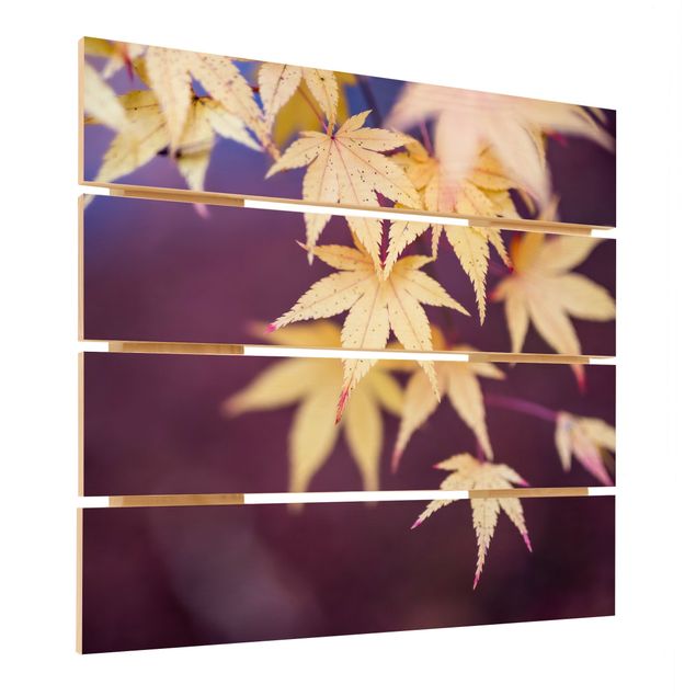 Obraz z drewna - Klon jesienny