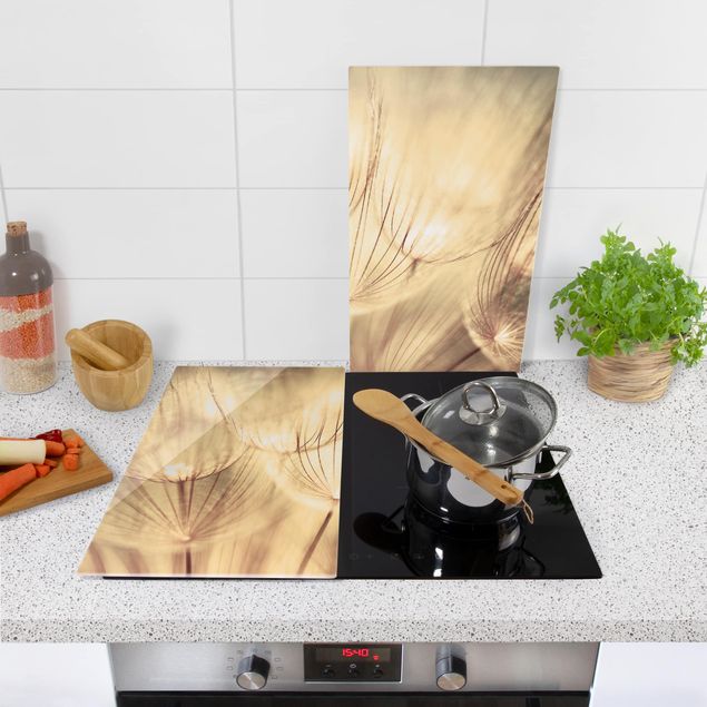 Dekoracja do kuchni Zbliżenie na mniszki lekarskie w domowym zaciszu w tonacji sepii