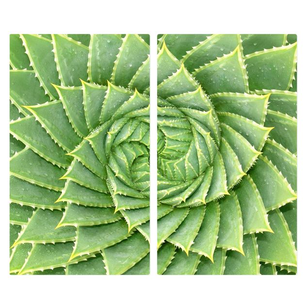 Szklana płyta ochronna na kuchenkę 2-częściowa - Aloes spiralny