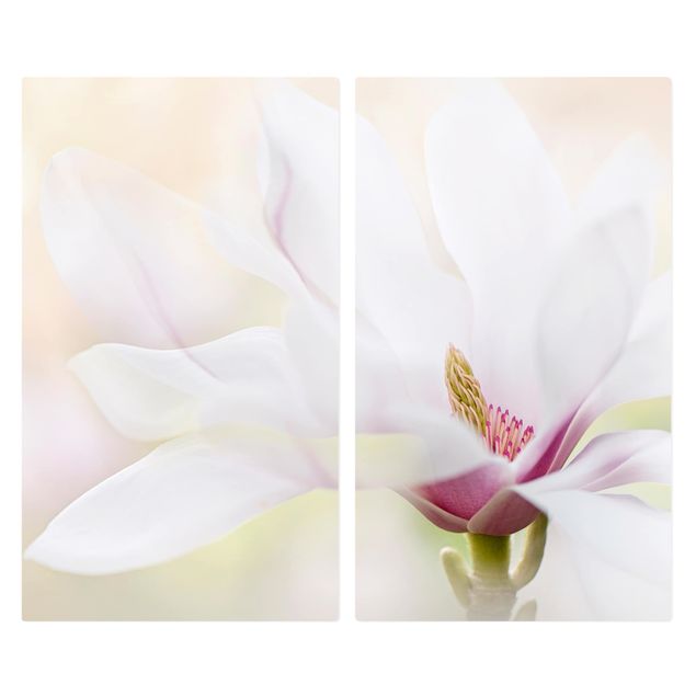 Szklana płyta ochronna na kuchenkę 2-częściowa - Czuły kwiat magnolii