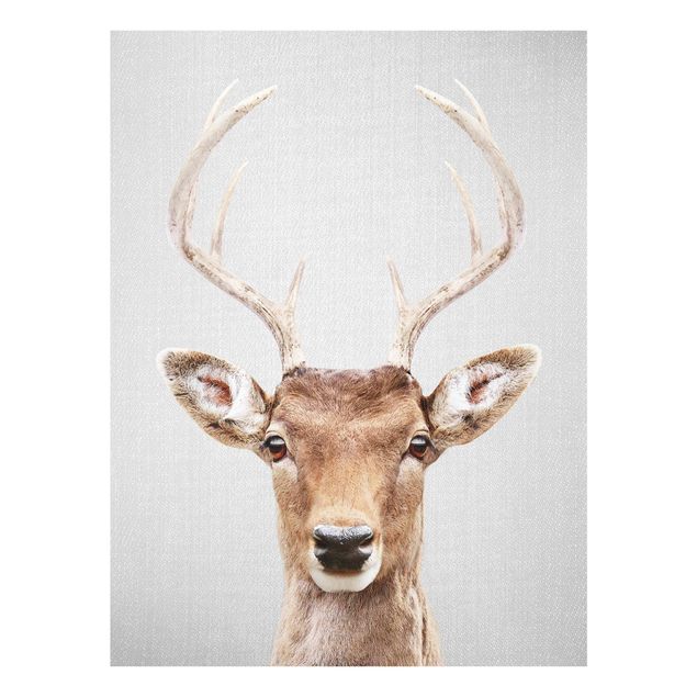 Obrazy na szkle zwierzęta Deer Heinrich