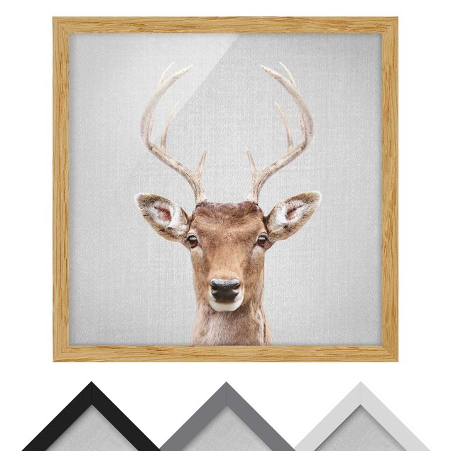 Obrazy nowoczesny Deer Heinrich