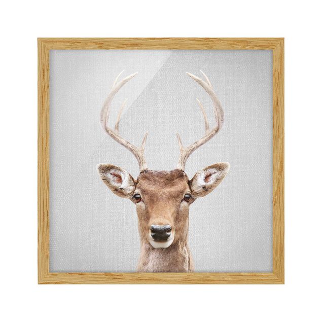 Obrazy w ramie zwierzęta Deer Heinrich
