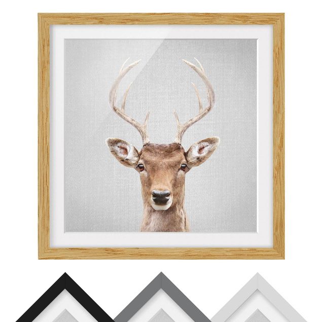 Obrazy nowoczesny Deer Heinrich