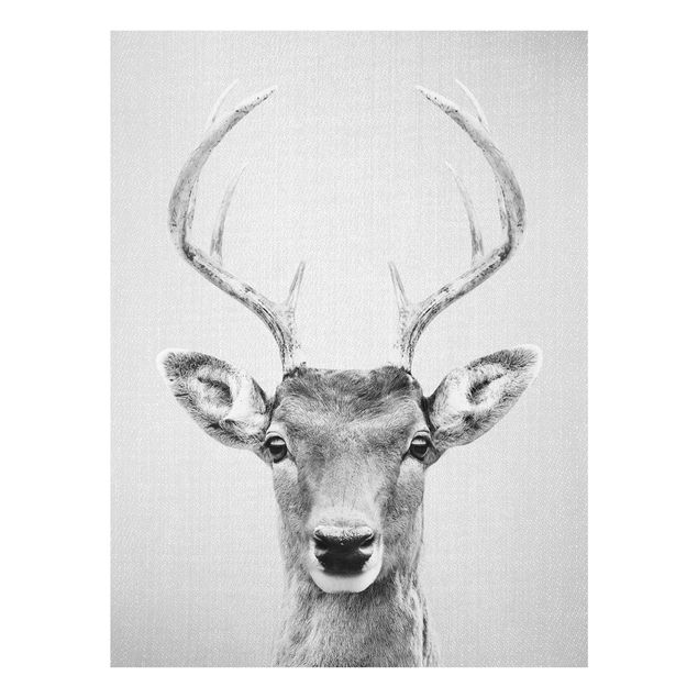 Obrazy na szkle zwierzęta Deer Heinrich Black And White