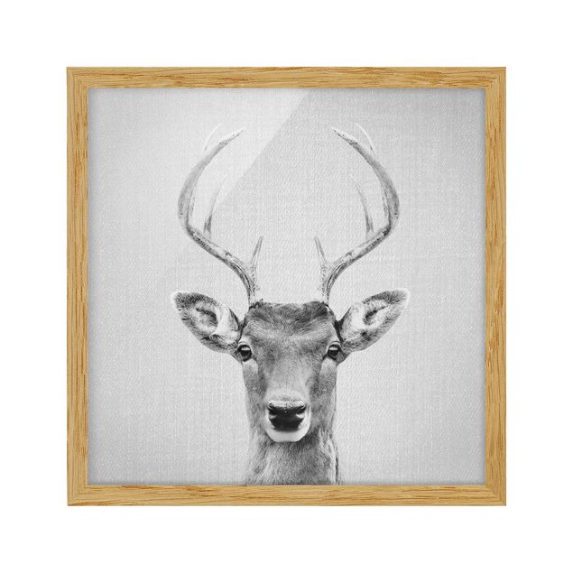 Obrazy w ramie zwierzęta Deer Heinrich Black And White